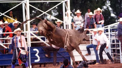 Jinete de Toros Profesionales